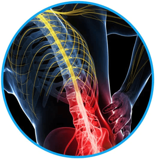 Flexifit Lumbar Gürtel