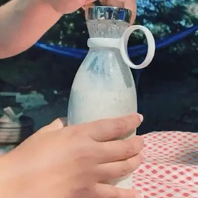 Portable Smoothie Maker